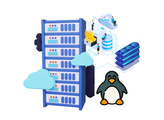 Linux GPU Server